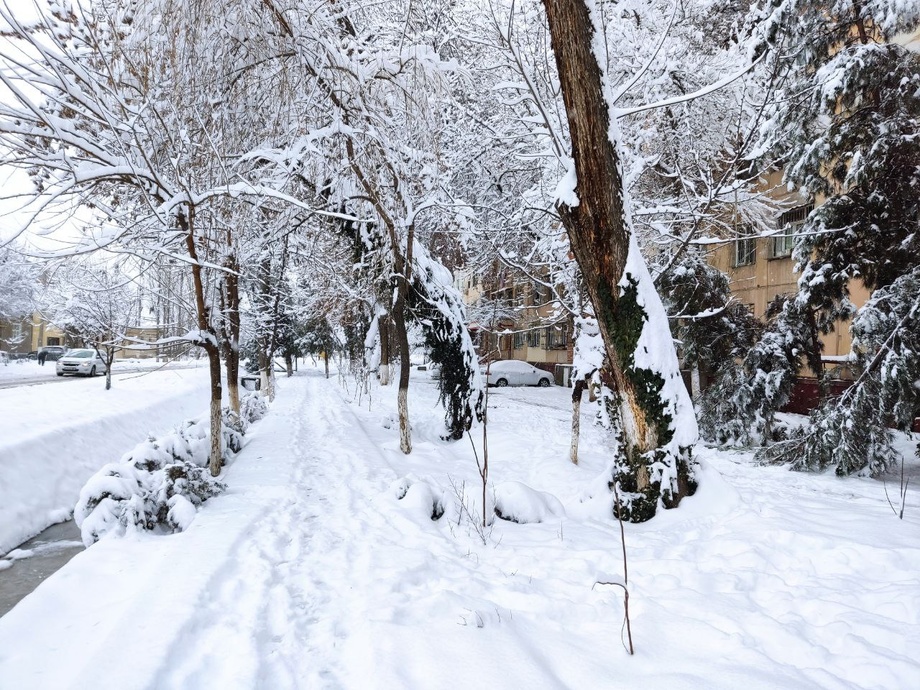 Сколько техники и людей привлекли к уборке снега в Ташкенте