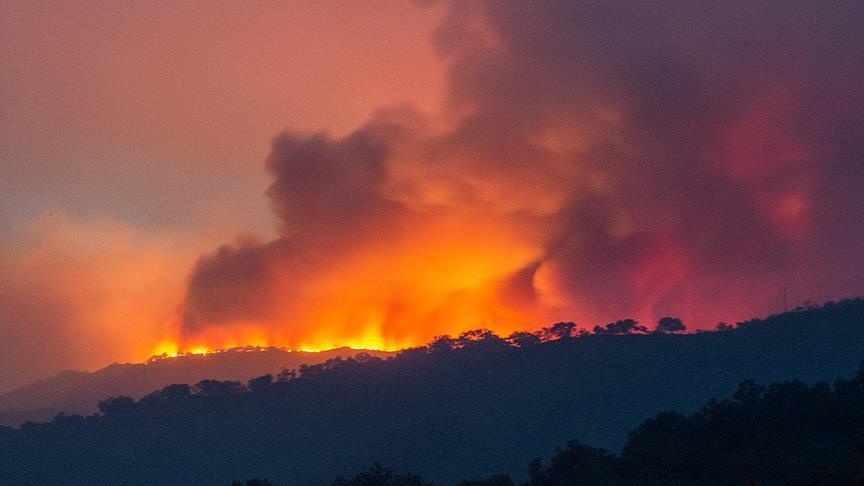 На юге Новой Зеландии бушует крупный пожар