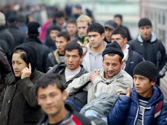 Статистика: Сколько узбекских мигрантов находятся в России?