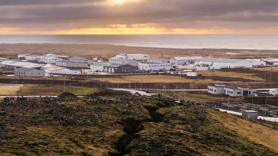 Совуқ ўлкага тропик ҳарорат кириб келди