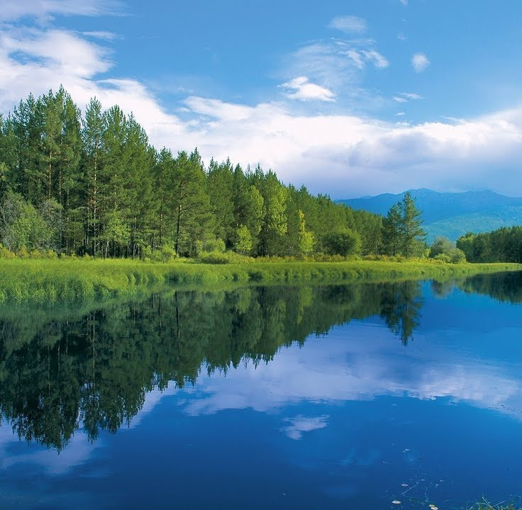 Ladyboy porno orgies