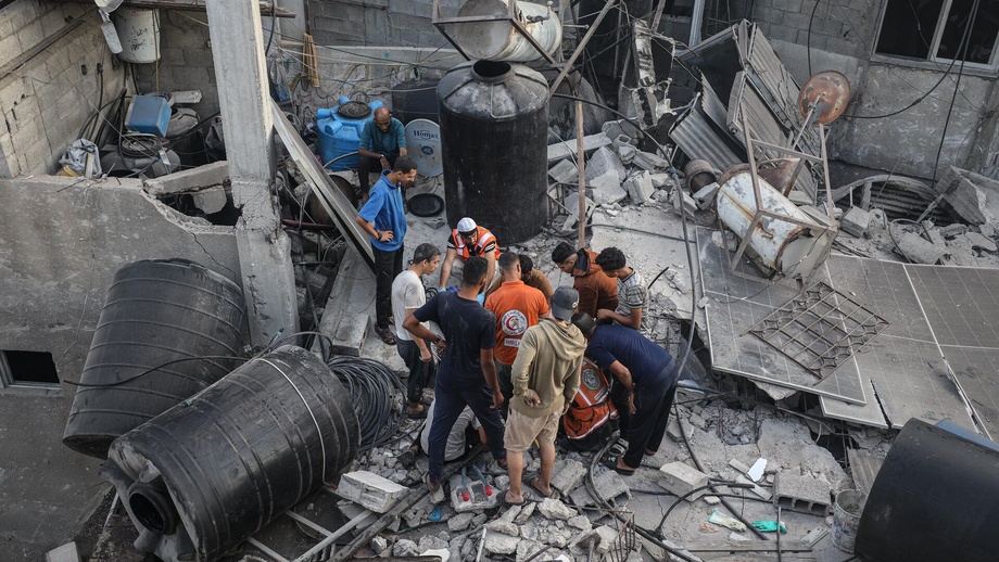 Eng katta mushukni tomosha qiling