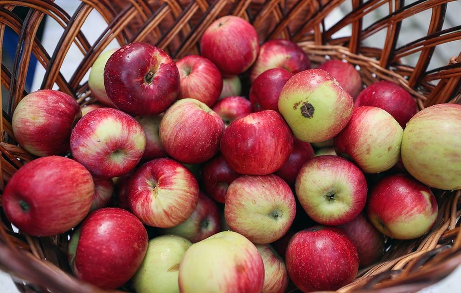 Потенциальное лекарство от рассеянного склероза нашли в кожуре яблок