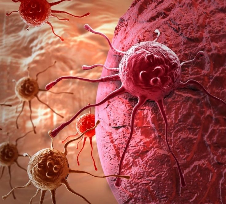 Porno Miss 2006 Gozal dumba bilan eng ajoyib qizlar bilan porno