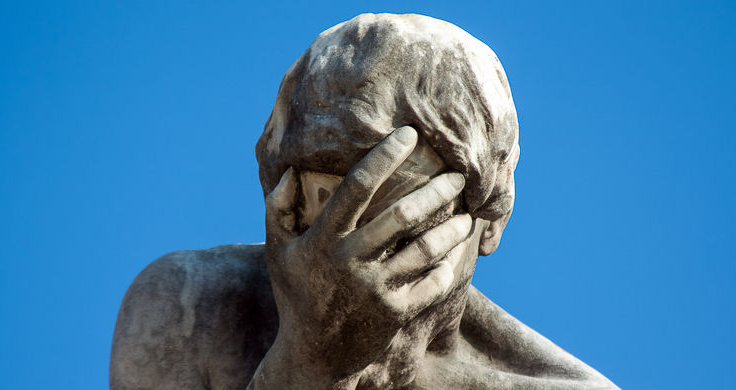 Qizlarning mushuklari suratga tushmoqda