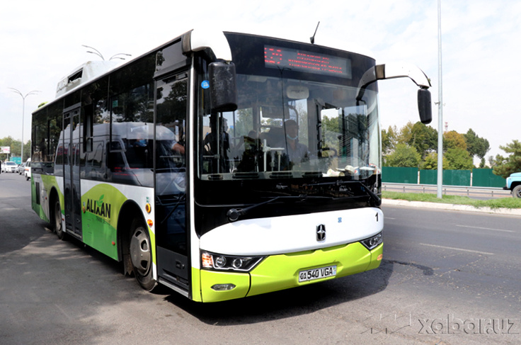 Mazali eshak salqin Machos dick bounces