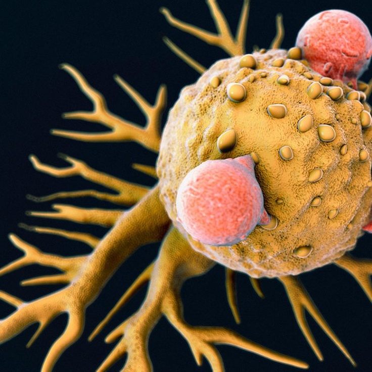 Keling, Italiya, jinsiy aloqa film