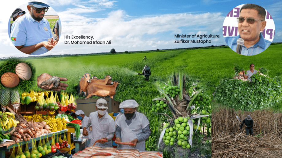 Озиқ-овқат мустақиллигига эришган ягона мамлакат (видео)