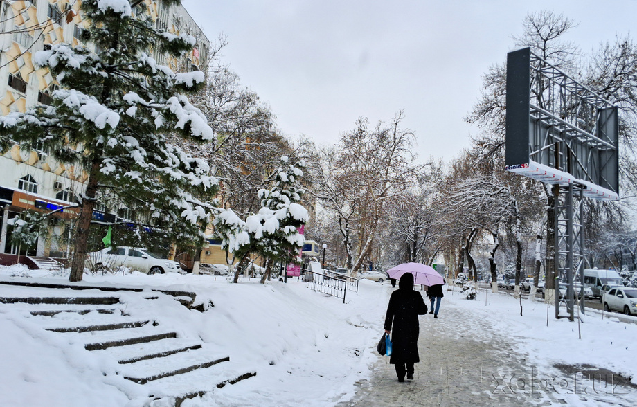 Температура воздуха сегодня составит 0-5 градусов тепла