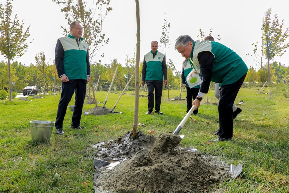 В Самарканде в честь 80-летия ЮНЕСКО будет высажено 80 тысяч деревьев и кустарников