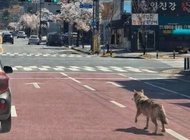 Сунъий интеллект ёрдамида яратилган сохта сурат.