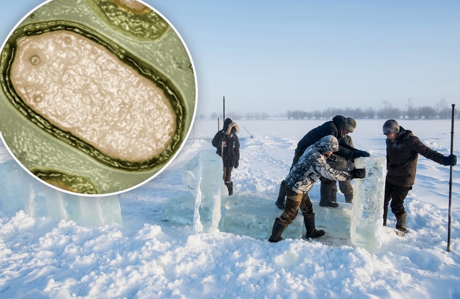 Insoniyat uchun yomon xabar: Sibir muzliklari ostida yangi halokatli zombi-virus topildi