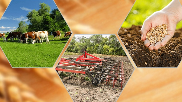 Semiz fohishalarning dumbalari va anuslari yaqindan Jinsiy aloqaga aylangan ehtirosli opishlar