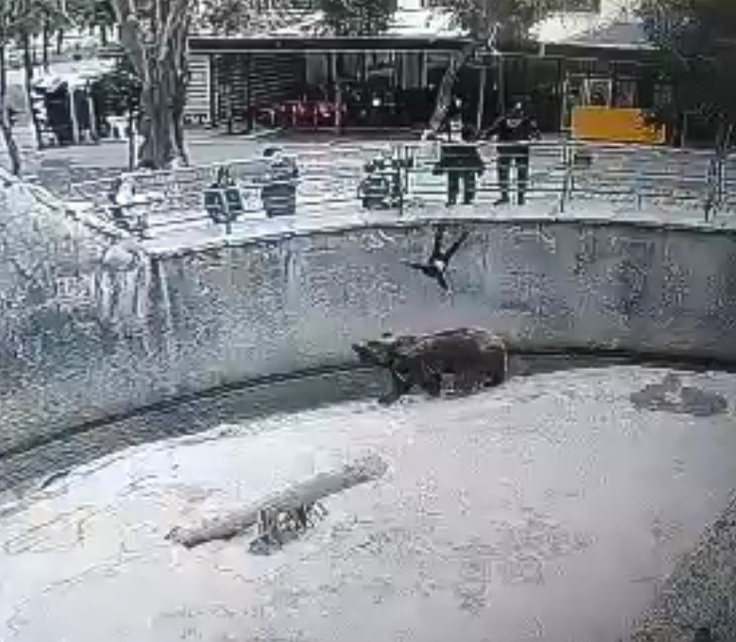 Erining xotinidan birovning spermasini yalagani videosi