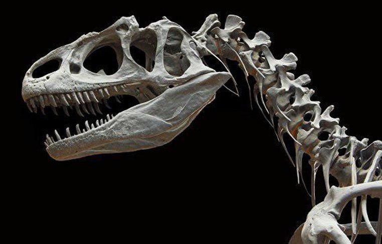 Париждаги аукционда динозавр скелети деярли 1,5 миллион еврога сотилди