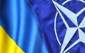 НАТО соберется на заседание из-за Украины