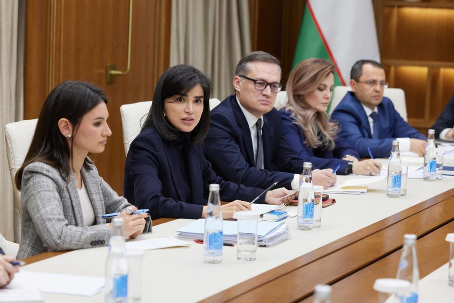 Saida Mirziyoyeva:«Mas’ullarni tegishli xulosa chiqarishga chaqiraman»