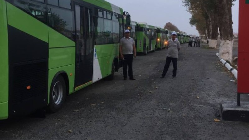 Тошкентга кондиционерли автобуслар келишни бошлади