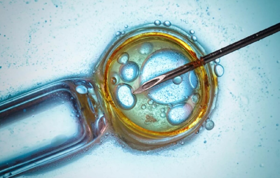 В Китае предупредили о появлении нового вируса «X»