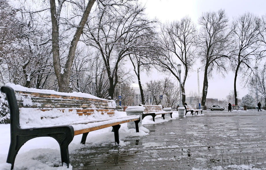 Сегодня в ряде регионов возможны осадки, температура составит 5-10 градусов тепла