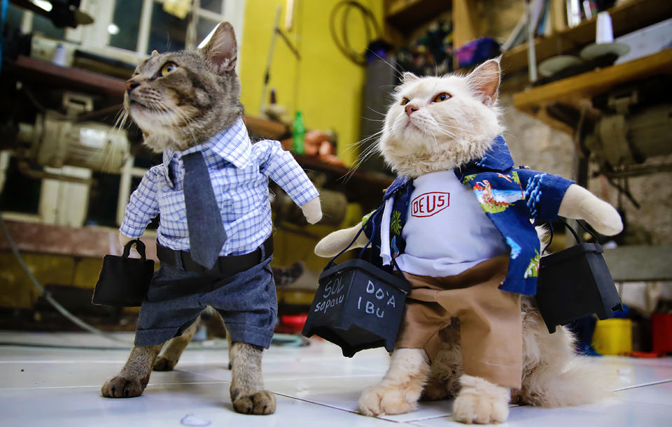 Jinni yutish porno video Xotin erining bekasini pornoda tutdi.