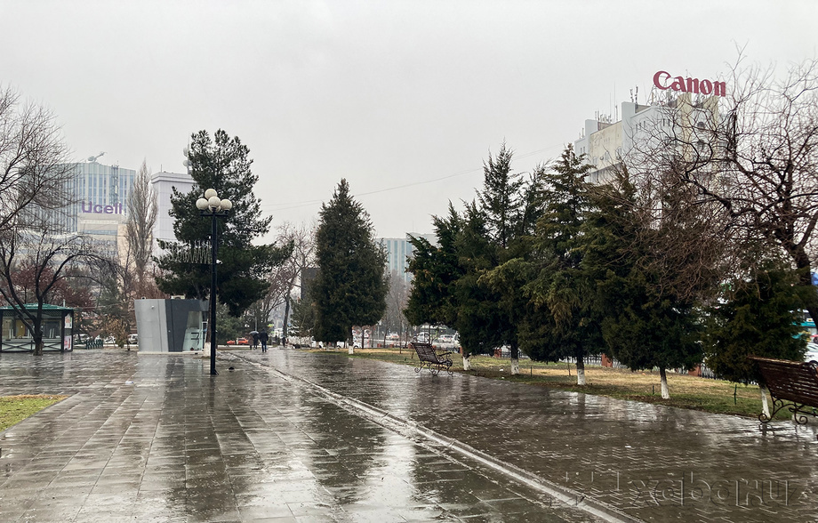 На ремонт дренажной системы Ташкента направят 700 млн сумов