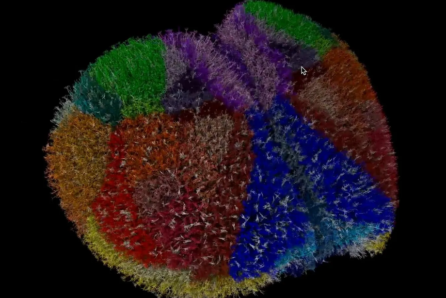 Энг батафсил виртуал мия яратилди
