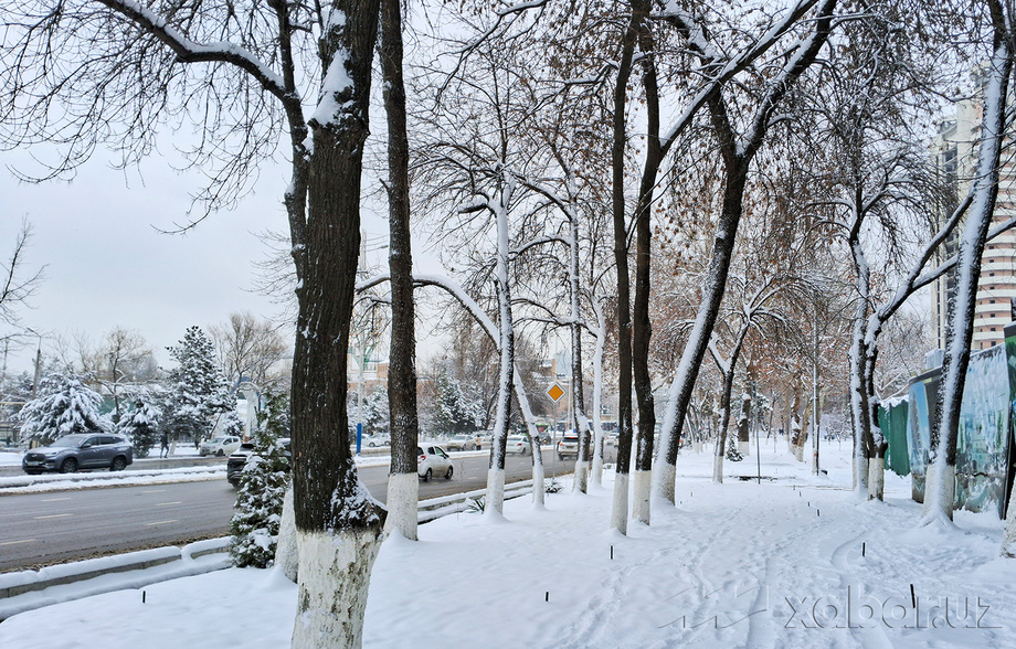 Температура воздуха сегодня составит 4-9 градусов тепла