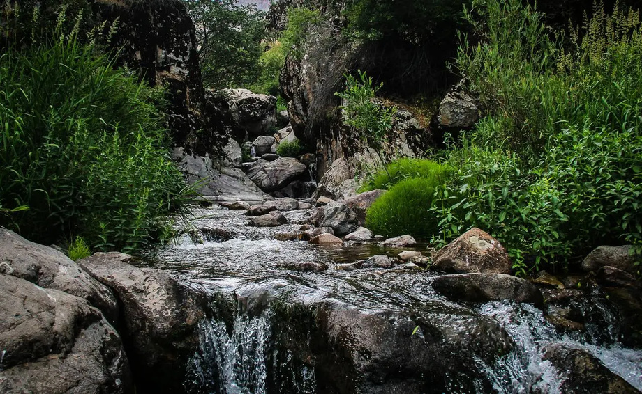 Яшил туризм объектларига қандай талаблар қўйилади?