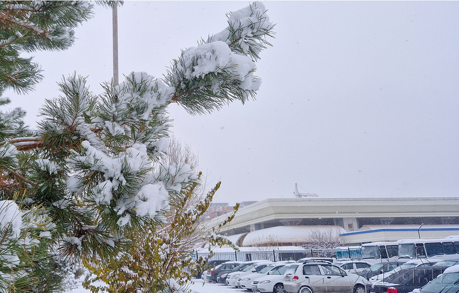 Toshkentda rezidentlar uchun pullik avtoturargohlar tariflari belgilandi