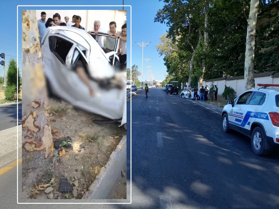 В Ташобласти 18-летний парень на высокой скорости влетел в дерево