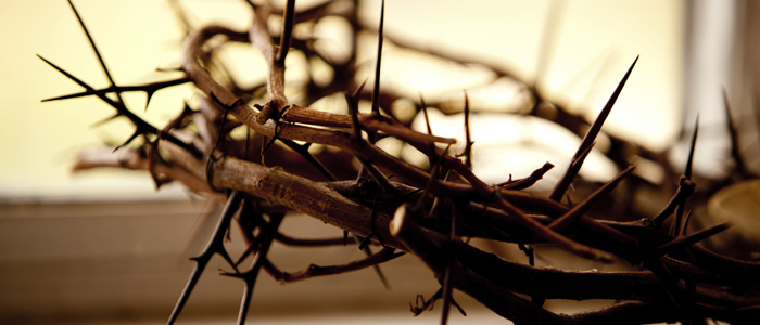 АҚШнинг иккита шаҳри тиканакларга тўлиб кетди