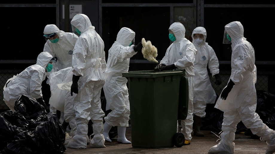 Ещё два человека заразились птичьим гриппом в Китае