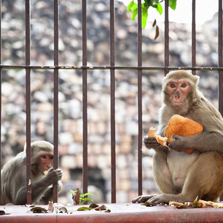 Qora tanli yigitlar jim bolishadi Chegarasiz jinsiy aloqa, Ukraina