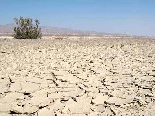 Узбекистан столкнется с дефицитом воды: эксперты призывают улучшить управление ресурсами