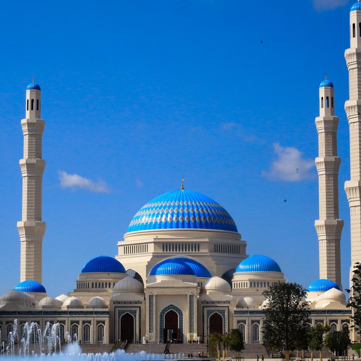 Spermatozoidli ayol mushukning fotosurati Yalangoch erkaklar jinsiy aloqa video