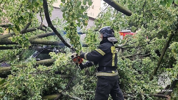 Sankt-Peterburgda dovul oqibatida bir necha kishi ayanchli tarzda halok bo‘ldi