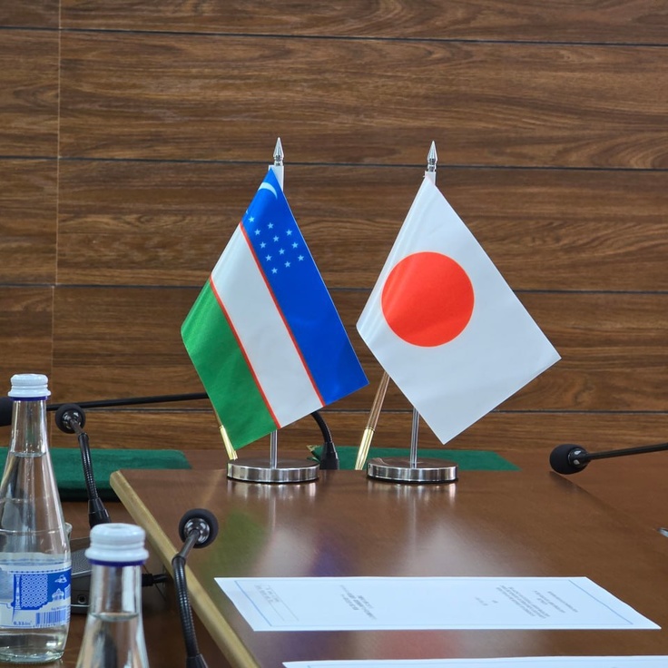 Komplekssiz dacha fotosuratlari