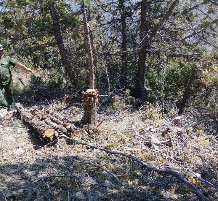 Katta va qalin jinsiy olatdan orgazm Yosh yigit katta kokrakli ayolni sikadi