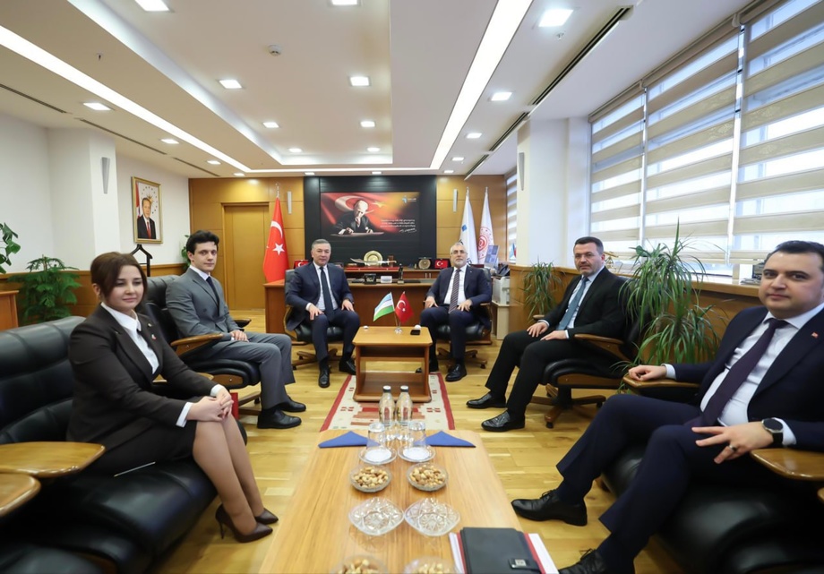 Туркияда қатор муҳим қарорлар: ўзбекистонликлар учун иш, ҳимоя ва қонунийлик