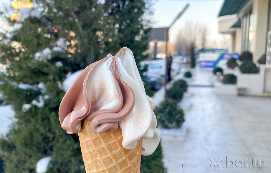 Ўзбекистоннинг «музқаймоқ статистикаси» тақдим этилди