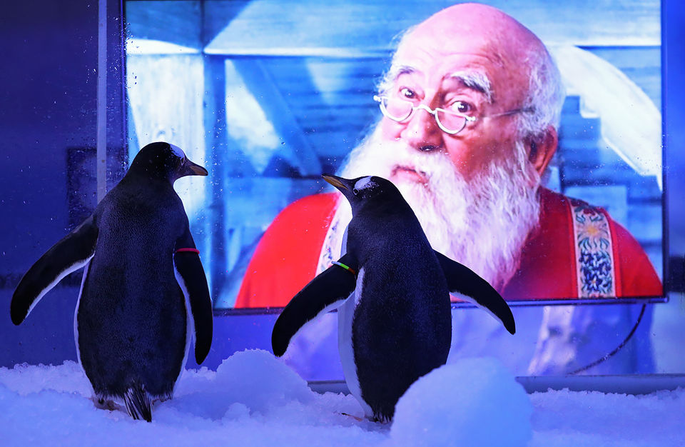 70 yoshli ayol bilan jinsiy aloqa Irina Allegrovaning porno fotosuratlari va videolari