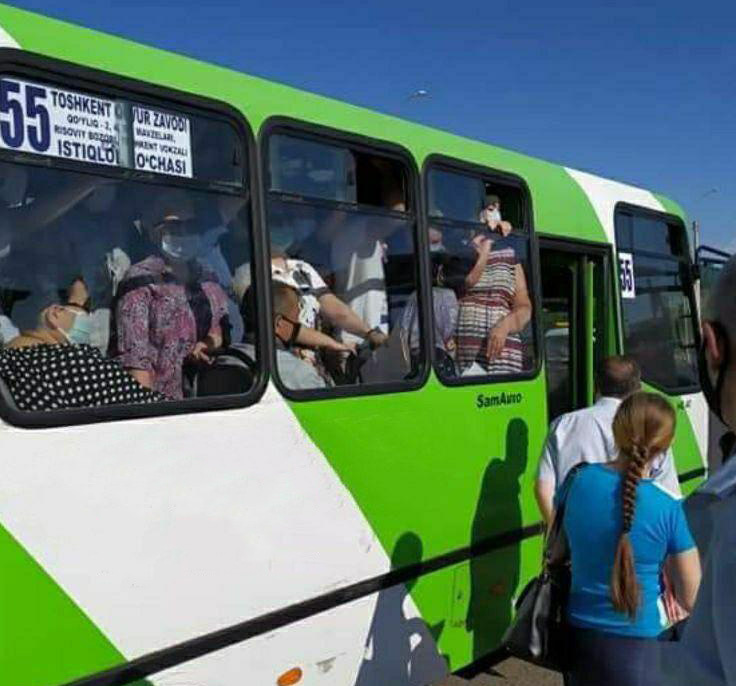 Jamoat transportida külotsiz qizlarning fotosuratlari