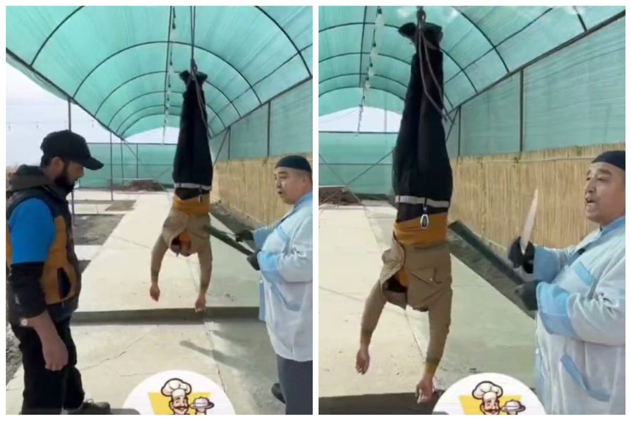 Бухорода блогер ва ошхона эгаларининг «хайпи» қимматга тушди