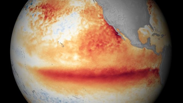 Дунёни 2023 йилда рекорд даражадаги ҳарорат кутмоқда: Эль-Ниньо ҳодисасига оз қолди