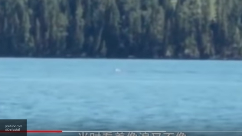 Это морское чудище? Загадочное существо сняли на видео в Китае (видео)