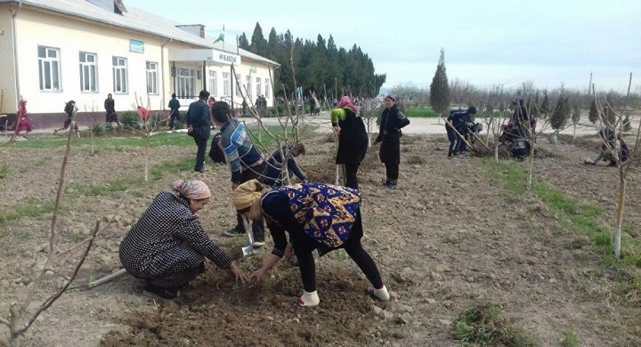 Ajratilgan puldan to‘g‘ri foydalanilsa, o‘qituvchilarni jamoat ishlariga jalb etishga hojat qolmaydi