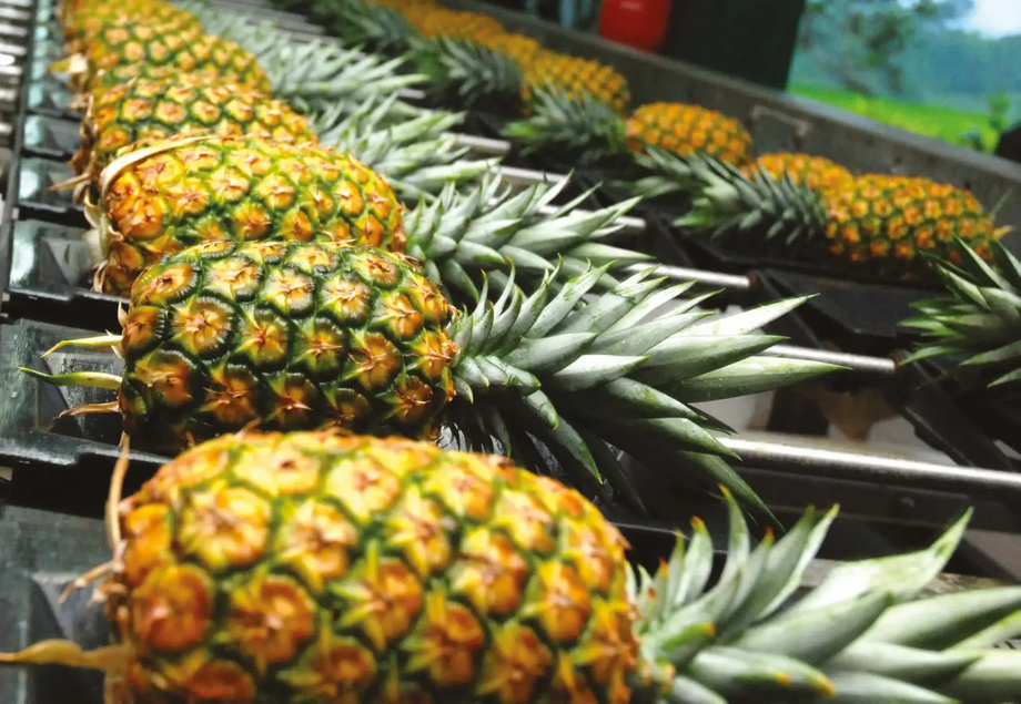 Ўзбекистонга Хитойдан мандарин ва ананас импортига тақиқ ўрнатилди