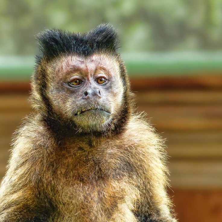 Qaynona va xotini bilan sikish Porno komikslar multfilmlarini tomosha qiling