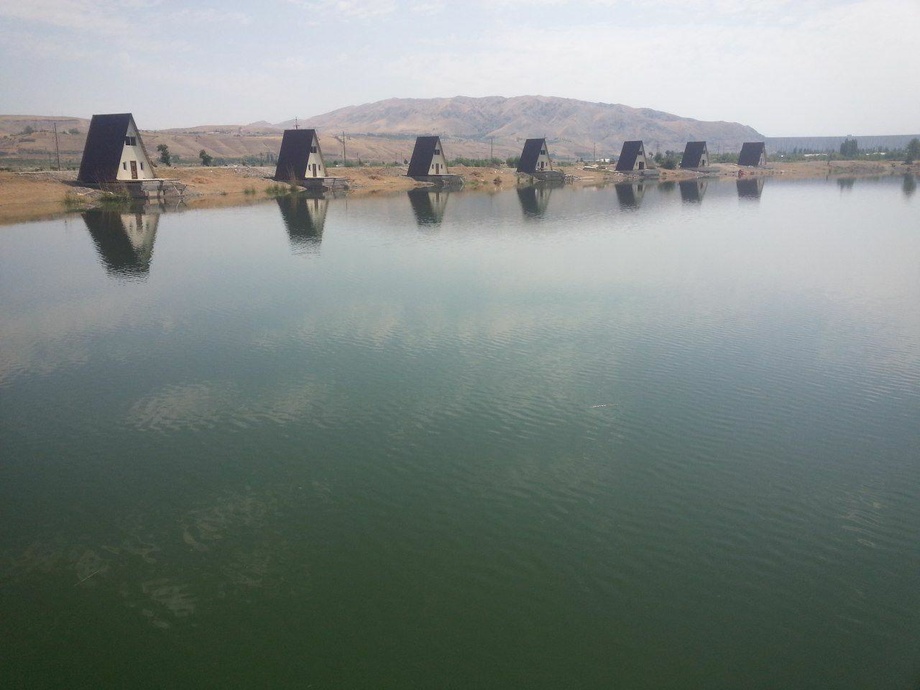 Yangi boshlanuvchilar uchun jinsiy aloqa (onlayn film)